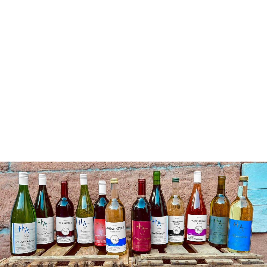 Probierpaket Nr.1, 12 Weine gemischt